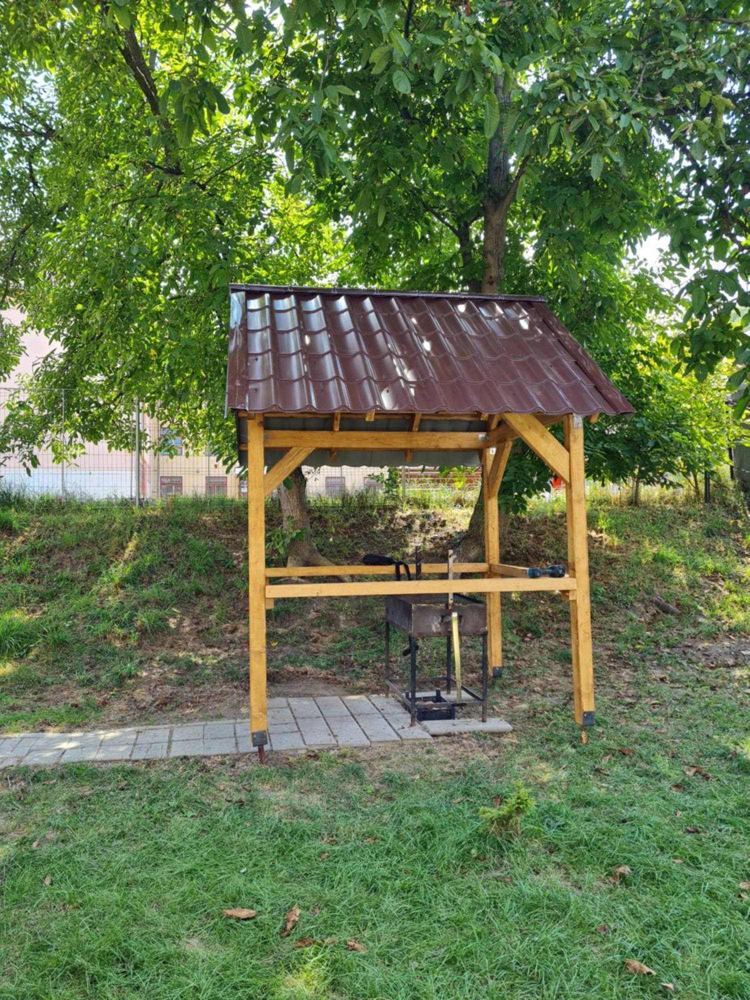 Casa Sonia Sighisoara Villa Buitenkant foto